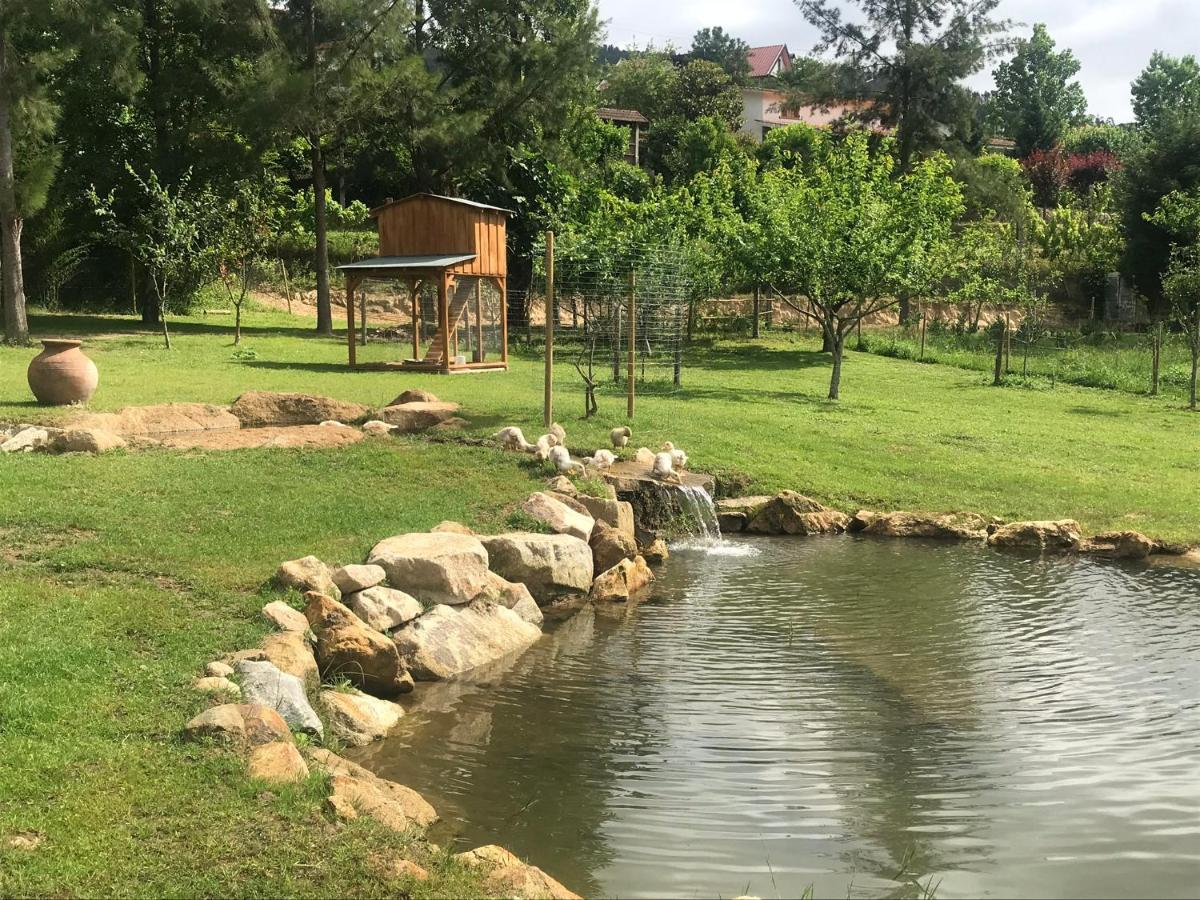 Villa Quinta Da Vinha Do Souto Arouca Esterno foto