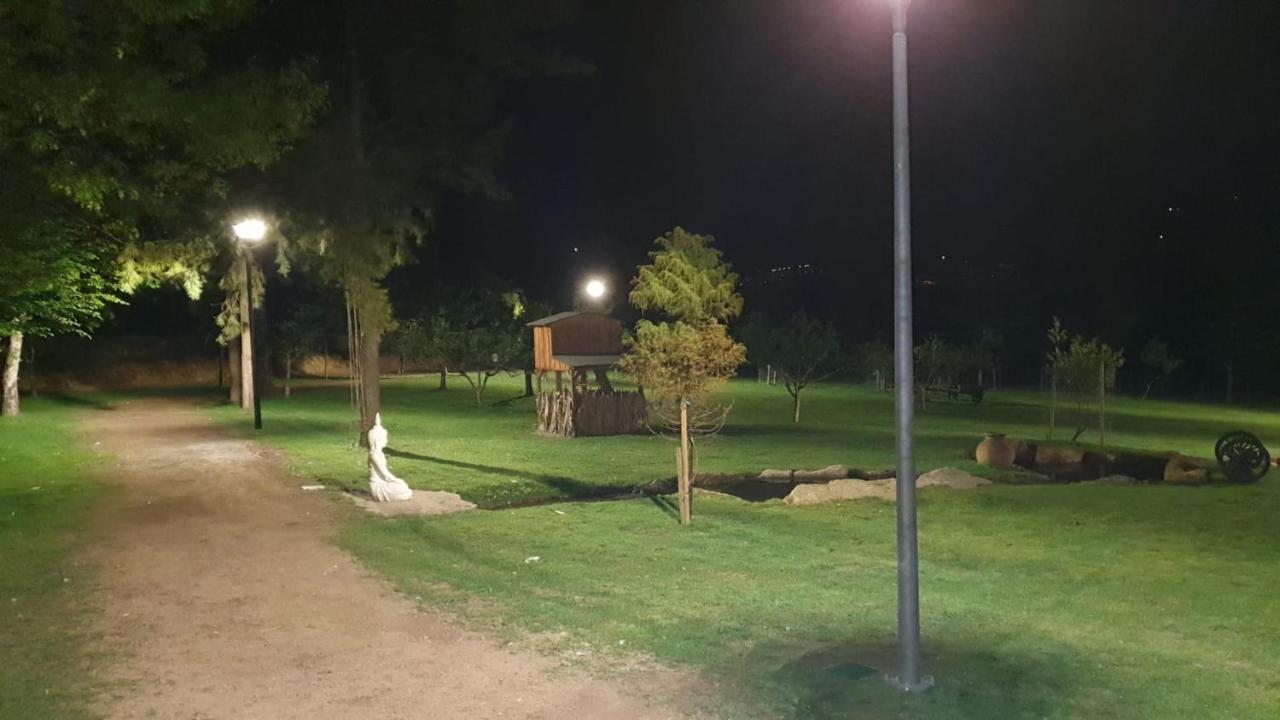 Villa Quinta Da Vinha Do Souto Arouca Esterno foto