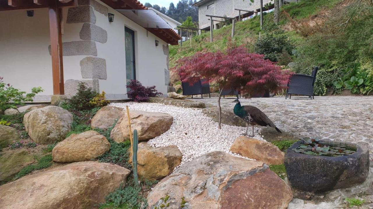 Villa Quinta Da Vinha Do Souto Arouca Esterno foto