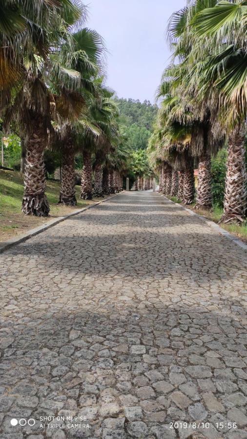 Villa Quinta Da Vinha Do Souto Arouca Esterno foto